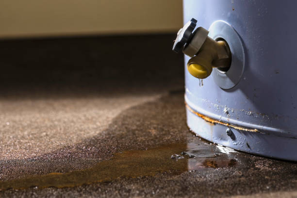 Best Sewage cleanup and water damage restoration  in Kaaawa, HI