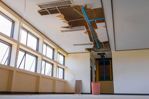 Best Water damage repair service  in Kaaawa, HI