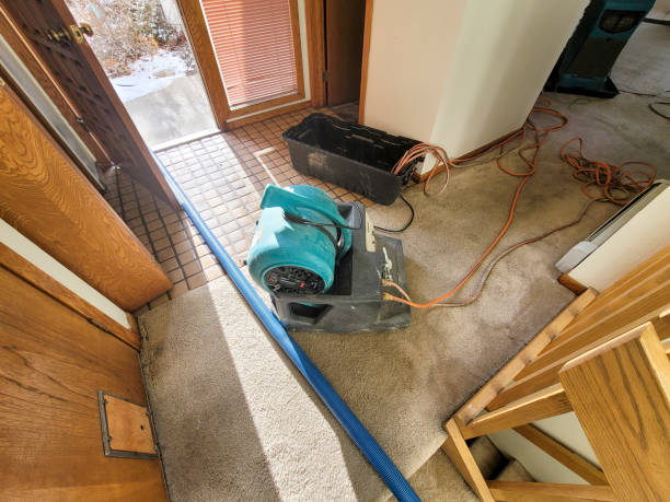 Best Ceiling water damage repair  in Kaaawa, HI