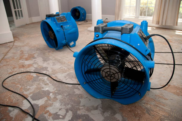 Best Flooded house restoration  in Kaaawa, HI