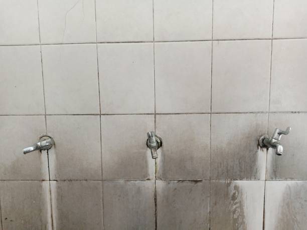 Best Flood damage cleanup  in Kaaawa, HI