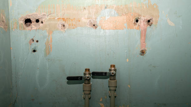 Best 24-hour water damage restoration  in Kaaawa, HI